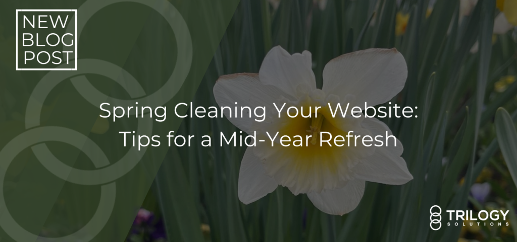 Spring Cleaning Your Website: Tips for a Mid-Year Refresh