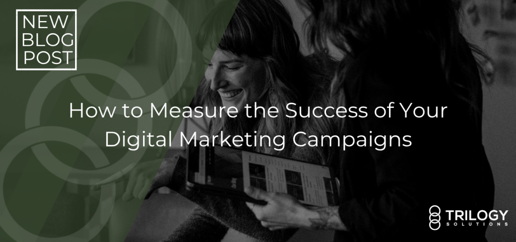 Trilogy Solutions Digital Marketing Success